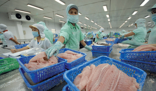 Japan is the leading in importing Vietnamese seafood in the first 4 months