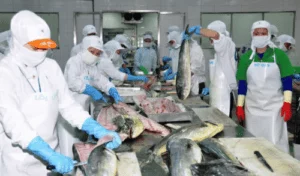 Seafood export in the first 4 months of the year
