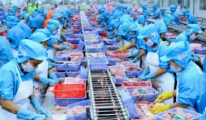 Vietnam world’s fourth largest seafood exporter