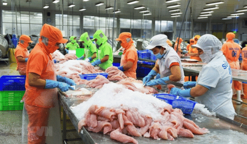 Seafood export value estimated to reach 2.81 billion in five months