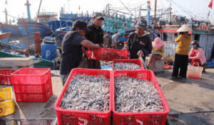 Shrimp exports unscathed by global pandemic