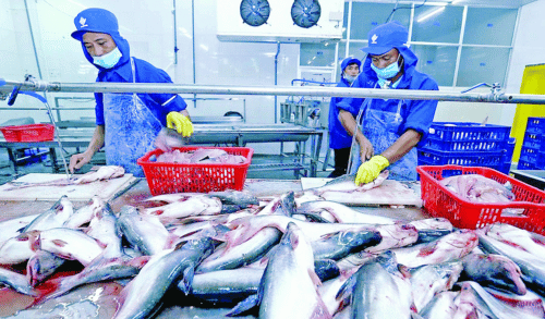 ASEAN the next big fish for Vietnams seafood industry 1
