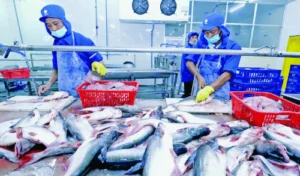 ASEAN the next big fish for Vietnam’s seafood industry