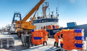 Namibia revels in MSC certification of hake fishery