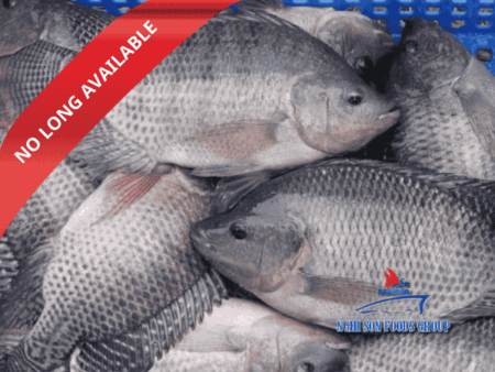 Black Tilapia Nghi Son Foods Group 10