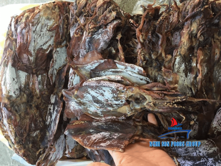 Dried Black Squid origin Viet Nam Nghi Son Foods Group