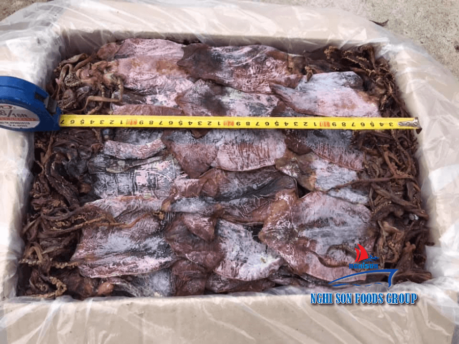 Dried Black Squid origin Viet Nam Nghi Son Foods Group 6