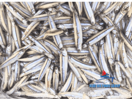 Frozen Gray Anchovy Nghi Son Food