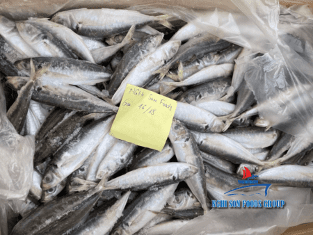 Frozen Round Scad Nghi Son Foods Group 4