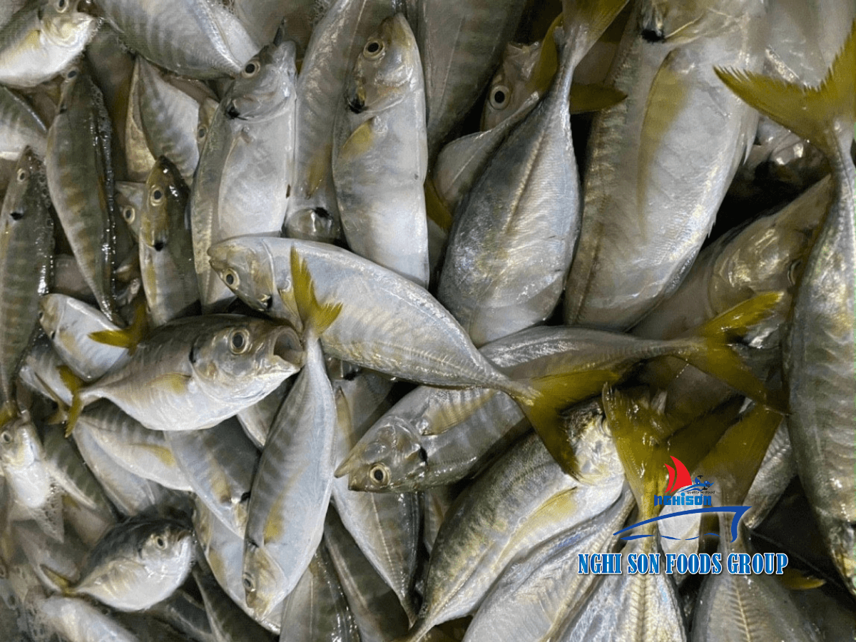 Frozen Yellowtail scad Nghi Son Foods Group 2