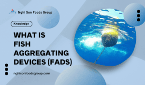What is Fish Aggregating Devices (FADs)