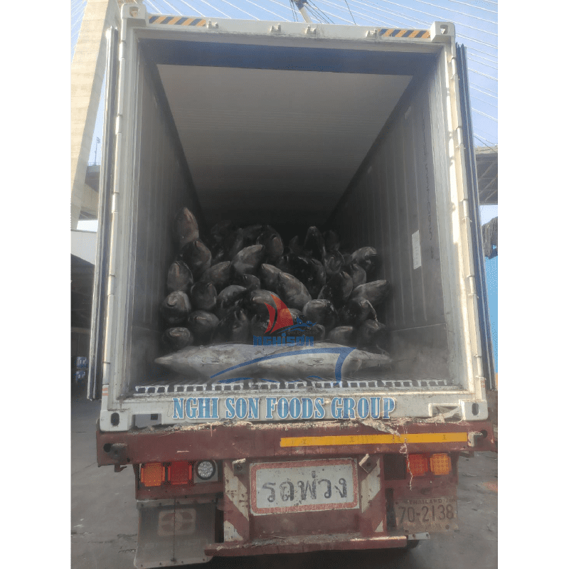 2-container-load-yellowfin-tuna-nghi-son-foods-group-and-hai-trieu-food