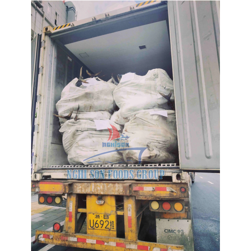 8-container-load-yellowfin-tuna-nghi-son-foods-group-and-hai-trieu-food