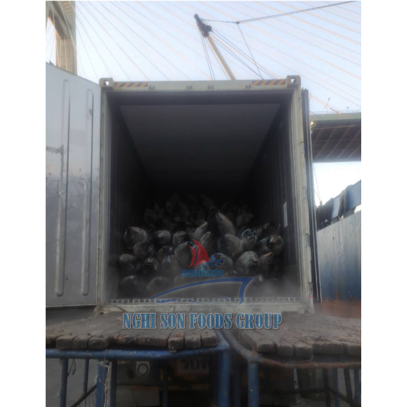 9-container-load-yellowfin-tuna-nghi-son-foods-group-and-hai-trieu-food