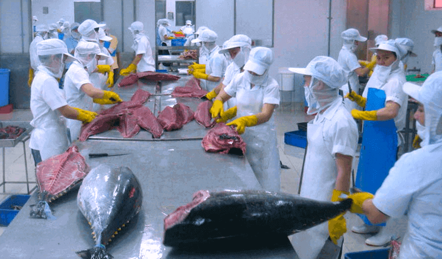 US Tuna Import Regulations