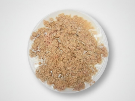 Shredded Tuna In Oil Nghi Son Foods Group Vietnam